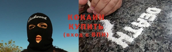 молекула духа Богородск