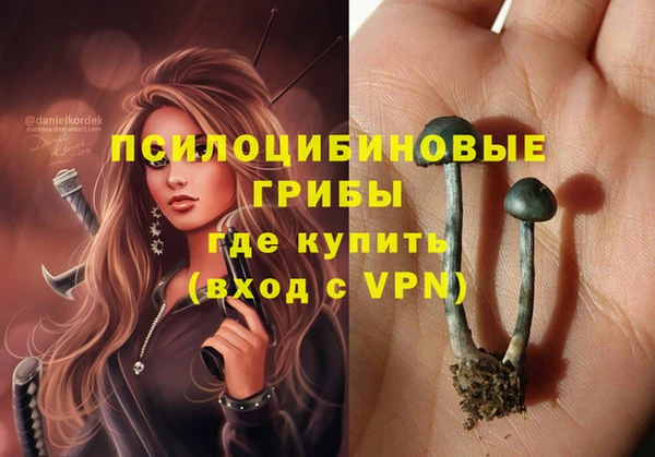 прущие крисы Богородицк